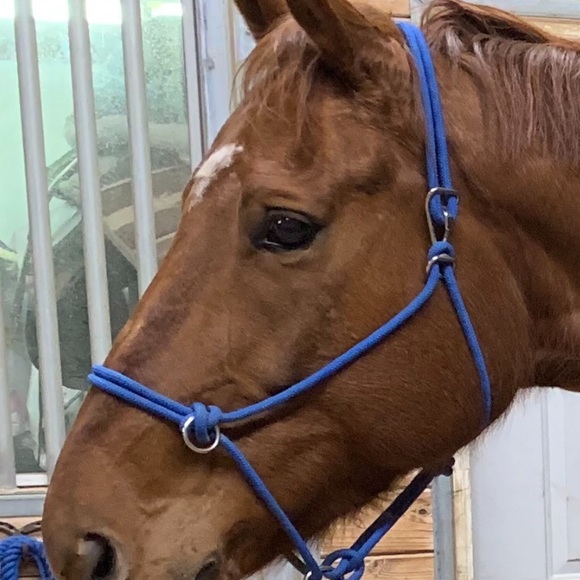 Meet your Posher, Kelly - Picture 6 of 16